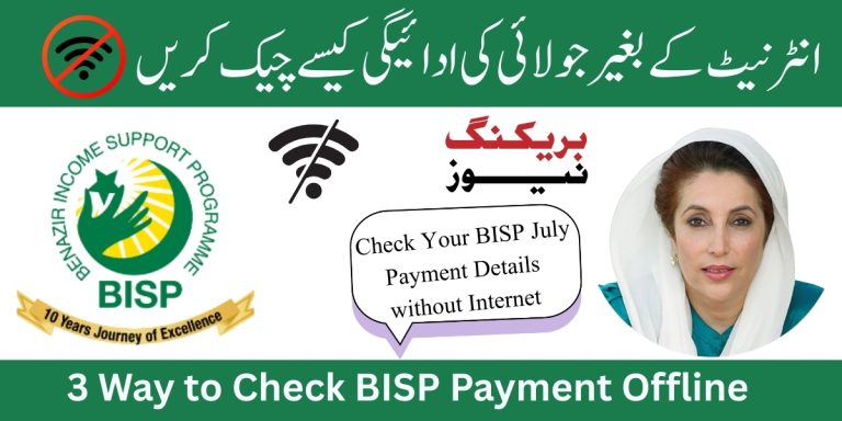 8171 July 2025 Check Your Payment Without Internet