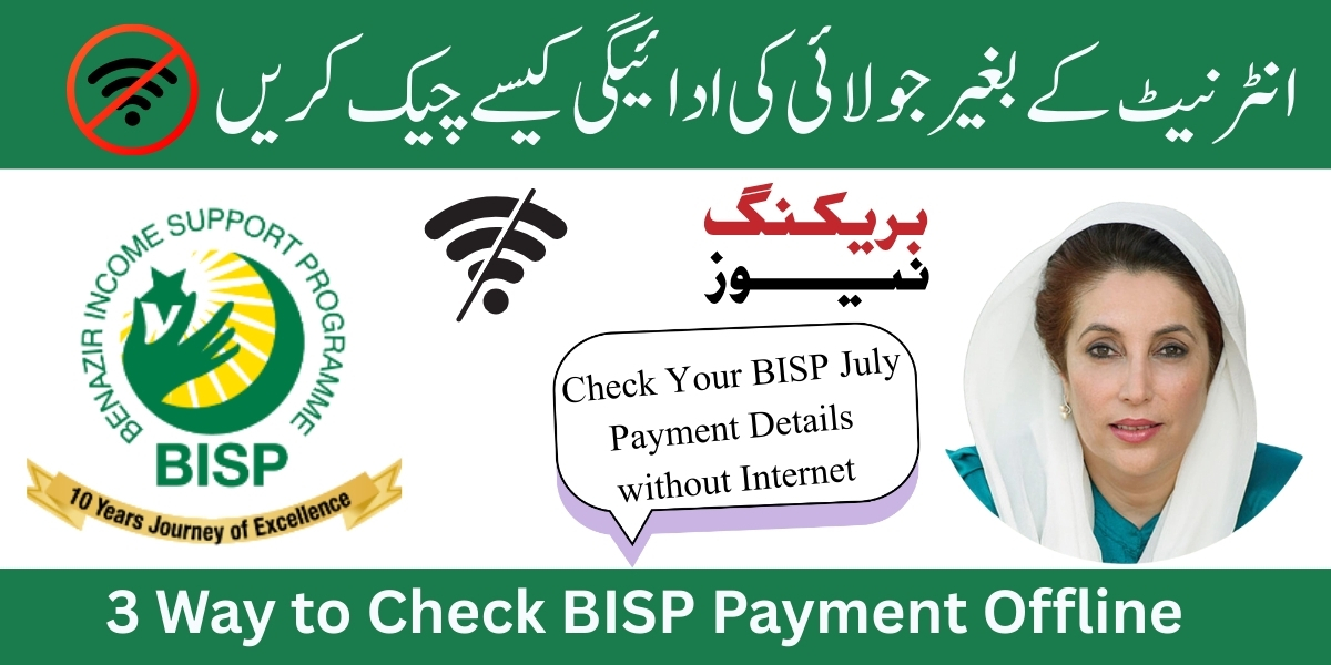 8171 July 2025 Check Your Payment Without Internet
