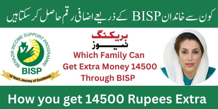 BISP 8171 Web Portal Which Family can Get Extra Money