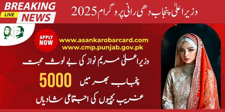 CM Punjab Dheerani Program 2025